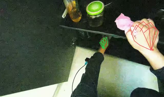 Cleaning kitchen counter and items: egocentric robotics sample