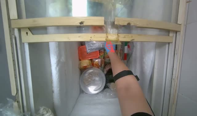 Taking products from refrigerator: egocentric robotics sample
