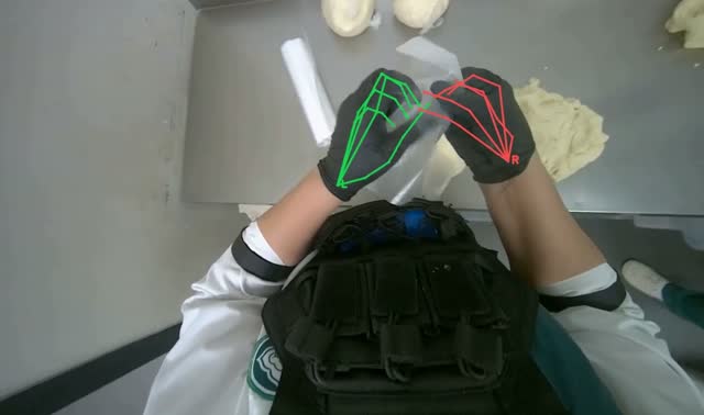 Wrapping dough in plastic: egocentric robotics sample