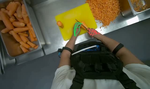 Dicing carrots on cutting board: egocentric robotics sample