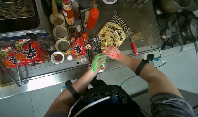 Loading fries into deep fryer: egocentric robotics sample