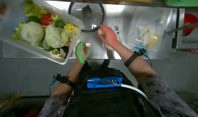 Preparing egg for cooking: egocentric robotics sample