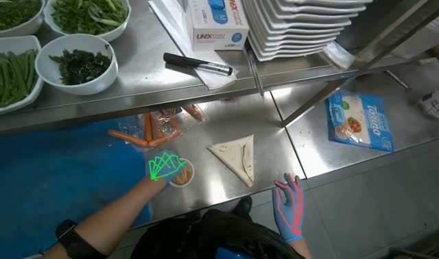 Securing rolled tortillas with toothpicks: egocentric robotics sample
