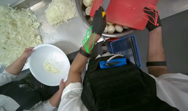 Transferring minced onions to bowl: egocentric robotics sample