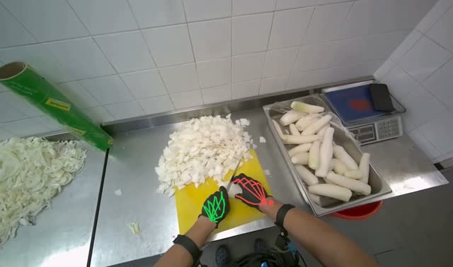 Chopping white radishes: egocentric robotics sample