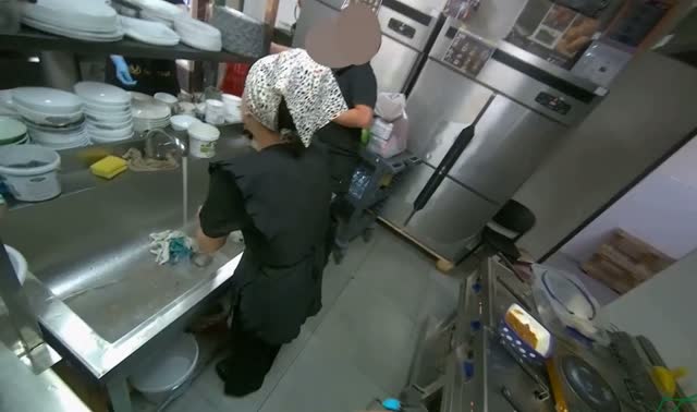 Chopping carrots on board: egocentric robotics sample
