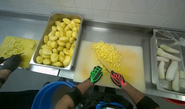 Dicing peeled potatoes: egocentric robotics sample