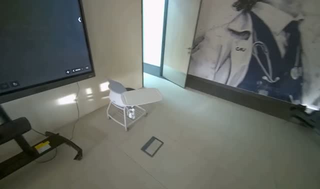 Mopping room floor: egocentric robotics sample
