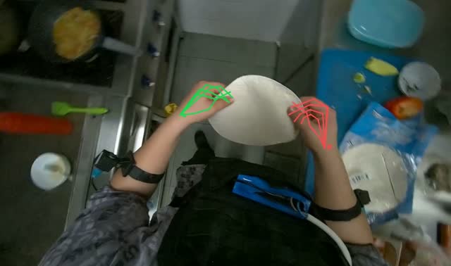 Preparing and cooking tortilla: egocentric robotics sample