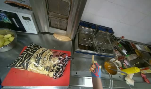 Loading fries into deep fryer: egocentric robotics sample