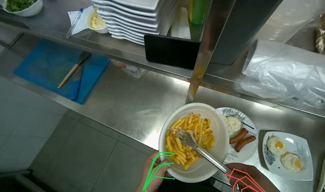 Plating french fries and serving: egocentric robotics sample