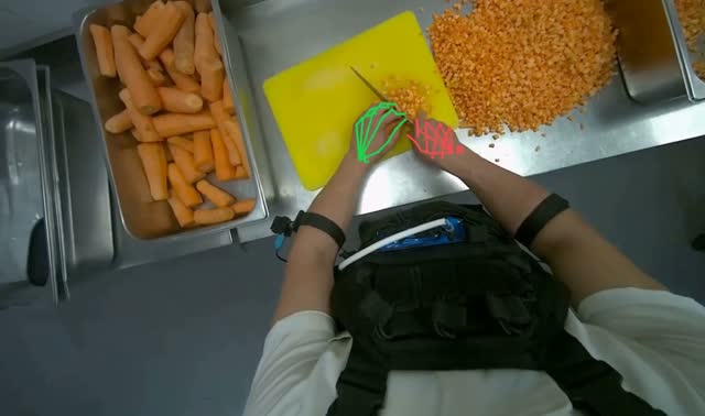 Dicing carrots on cutting board: egocentric robotics sample