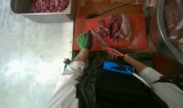Cutting meat on board: egocentric robotics sample