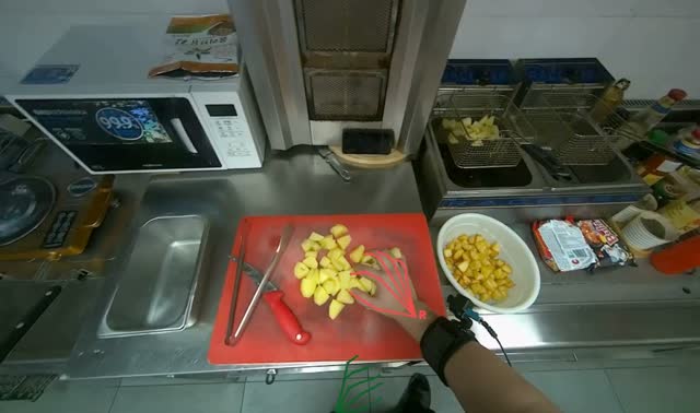 Loading raw potatoes into fryer: egocentric robotics sample