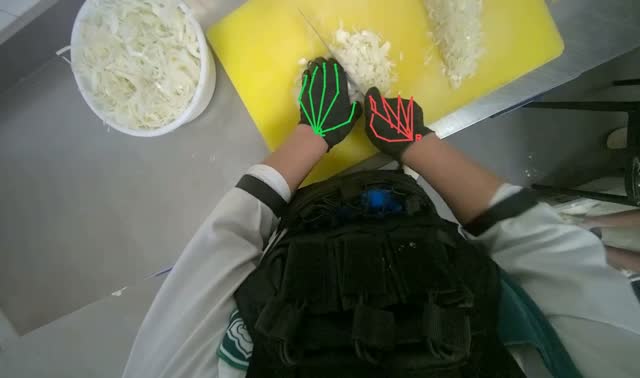 Chopping onions: egocentric robotics sample
