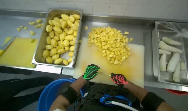 Cutting potatoes into pieces: egocentric robotics sample