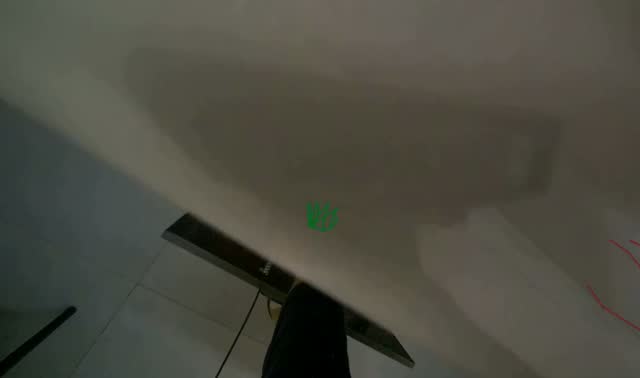 Cleaning and organizing kitchen counter: egocentric robotics sample
