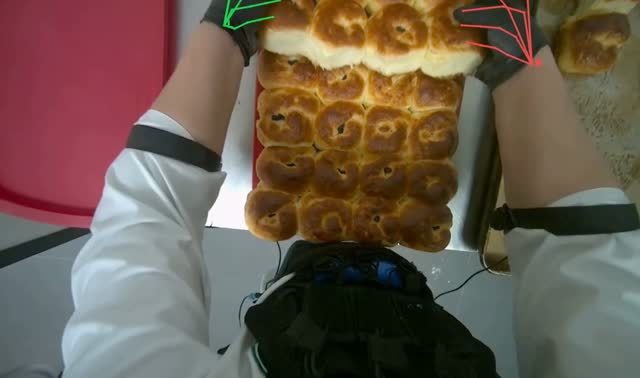 Transferring baked buns to trays: egocentric robotics sample