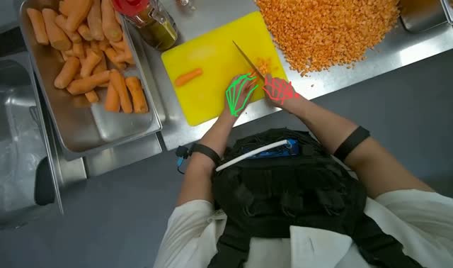 Dicing carrots on cutting board: egocentric robotics sample