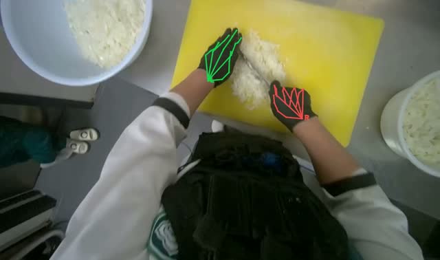 Chopping onions: egocentric robotics sample
