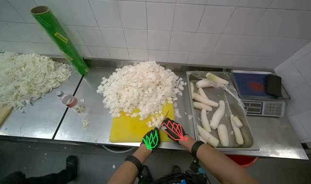 Chopping white vegetables: egocentric robotics sample