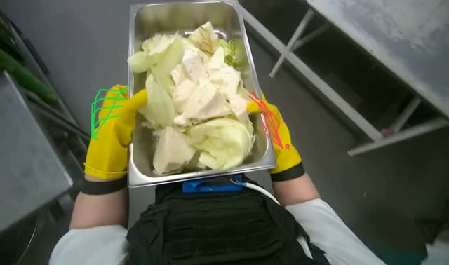 Transporting cabbage: egocentric robotics sample