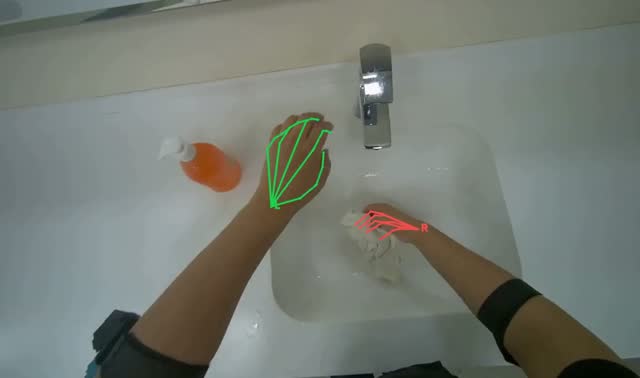 Rinsing cleaning cloth: egocentric robotics sample