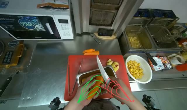 Peeling carrots: egocentric robotics sample