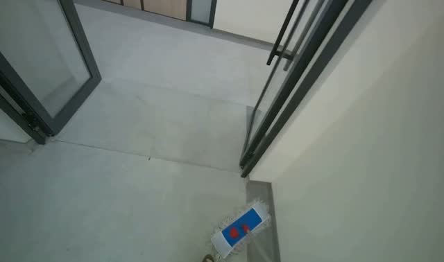 Mopping hallway floor: egocentric robotics sample