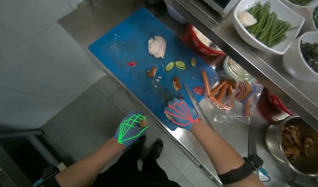 Chopping eggs and adding to meal: egocentric robotics sample