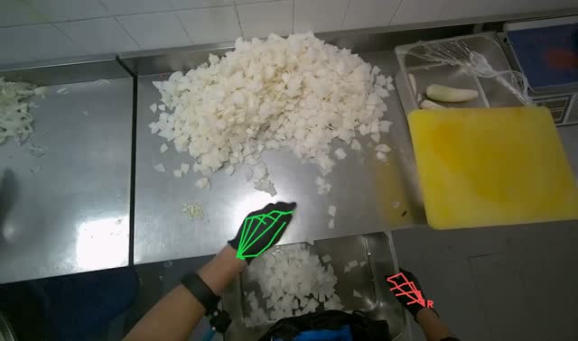 Transferring chopped onions to tray: egocentric robotics sample