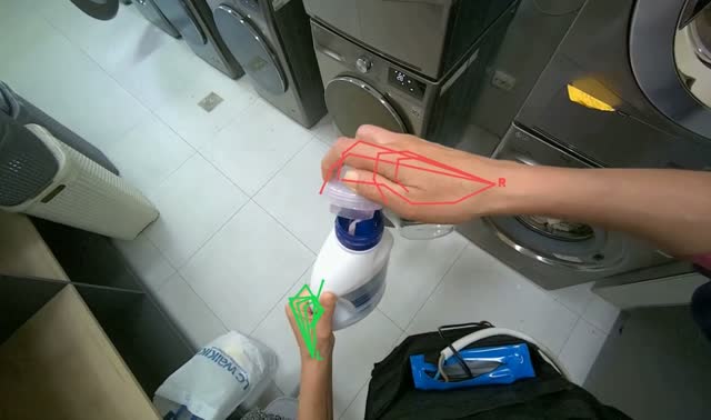 Adding detergent to washing machine: egocentric robotics sample