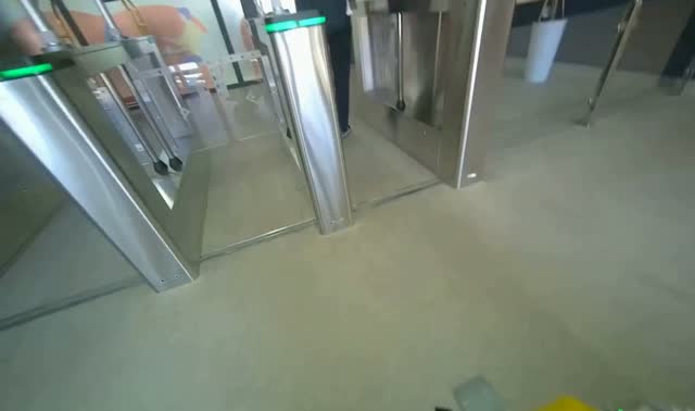 Mopping entrance floor: egocentric robotics sample