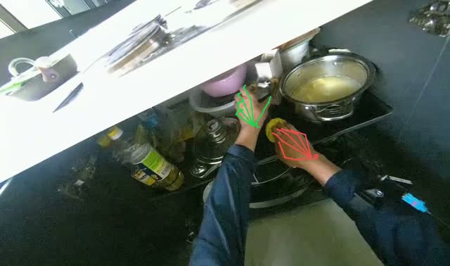 Cleaning inside under-sink cabinet: egocentric robotics sample