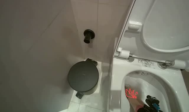 Cleaning toilet: egocentric robotics sample