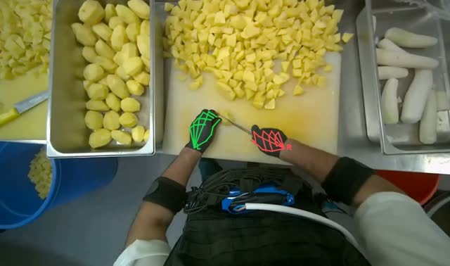 Chopping Potatoes: egocentric robotics sample