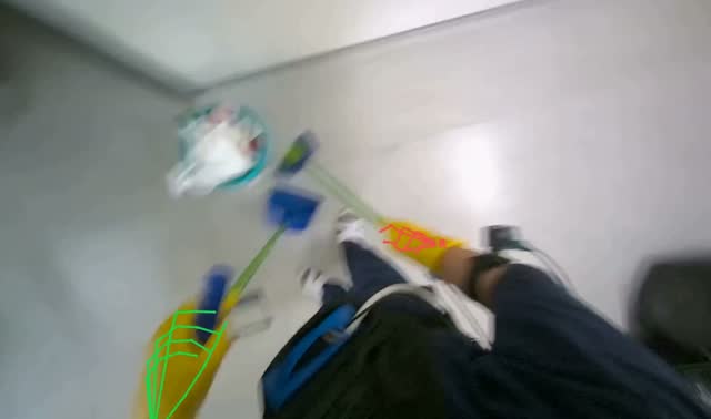 Sweeping floor with broom and dustpan: egocentric robotics sample