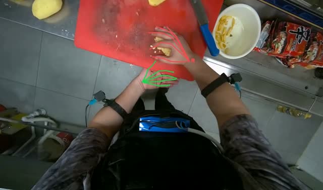 Adding diced potatoes to pot: egocentric robotics sample