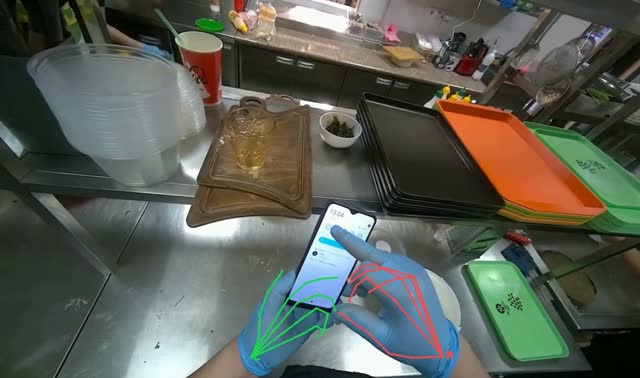 Transferring product to smaller dish: egocentric robotics sample