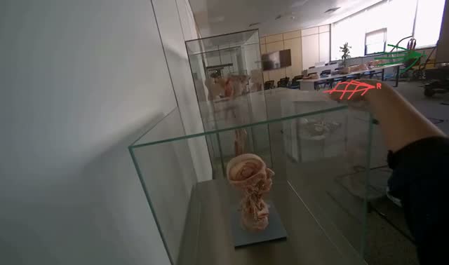 Wiping display cases and cart: egocentric robotics sample
