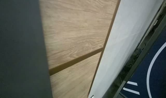 Wiping auditorium walls and doors: egocentric robotics sample