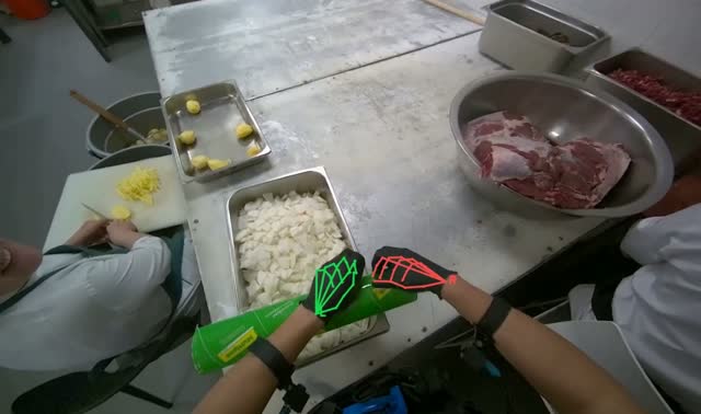 Covering chopped onions with film: egocentric robotics sample