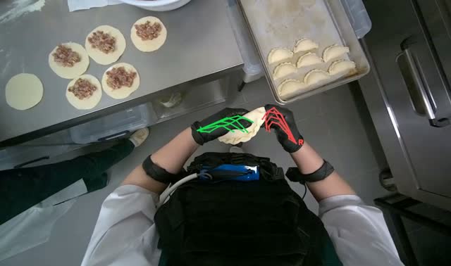 Preparing meat-filled dumplings: egocentric robotics sample