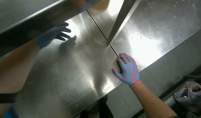 Organizing kitchen items: egocentric robotics sample
