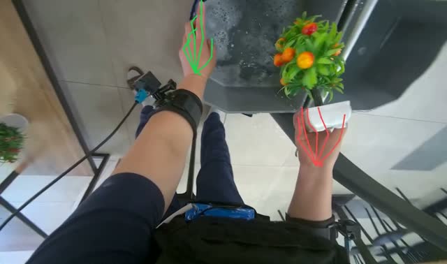 Washing potted plants: egocentric robotics sample