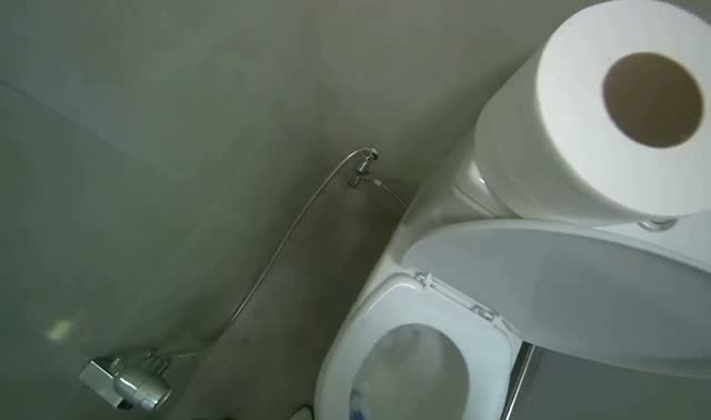 Cleaning restroom toilet area: egocentric robotics sample