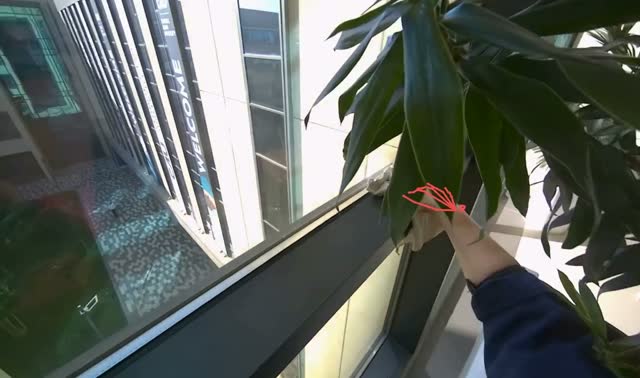 Wiping window frames: egocentric robotics sample