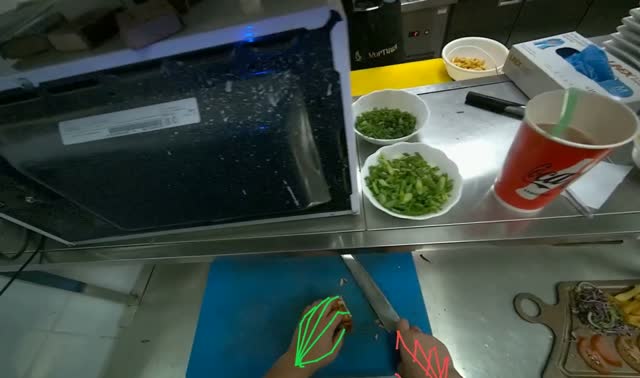 Cooking vegetables in pan: egocentric robotics sample