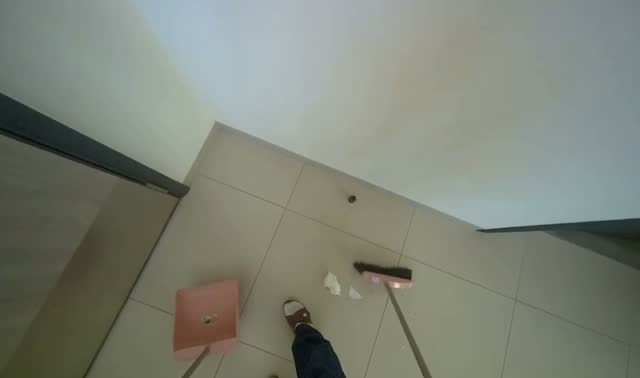 Sweeping floor with broom and dustpan: egocentric robotics sample