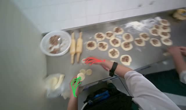 Placing filling onto dough circles: egocentric robotics sample